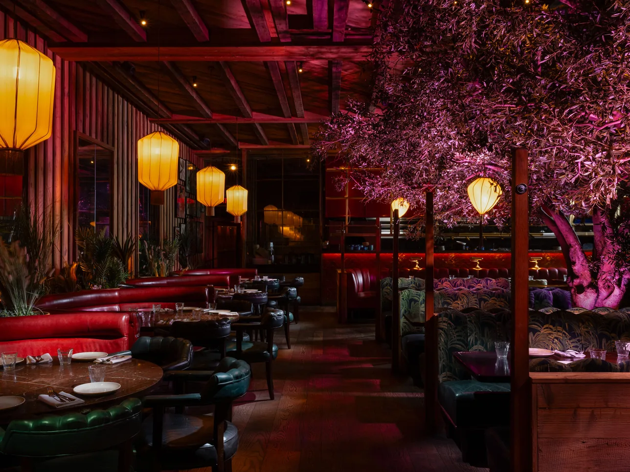 Inside Mama Yo on Camden Street, Dublin: lanterns, red banquettes and a tree under the roof